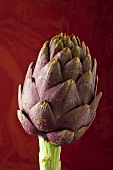 An artichoke