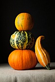 A stack of various pumpkins