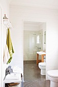Badezimmergarderobe und Toilette vor Ganzkörperspiegel