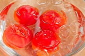 Tomatoes being quenched in iced water