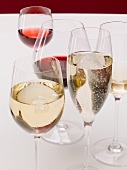 Champagner, Weißwein, Rotwein und Rosewein in Gläsern
