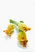 Three courgette flowers