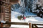 Familie wandert durch mit Christbaum und Schlitten durch Schneelandschaft zur Almhütte