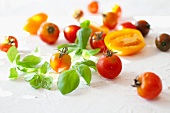 An arrangement of tomatoes with basil