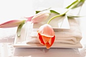Tulips on porcelain dish and towel