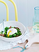 Bean salad with Pancetta and poached egg