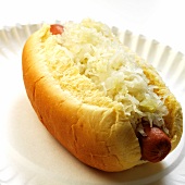 Hot Dog on a Bun with Sauerkraut; On a Paper Plate