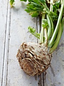 Celeriac