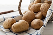 Organic potatoes (variety: Markies) in a wicker basket