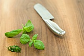 Fresh basil and a knife on a wooden surface