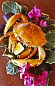 A crab on leaves with lemon