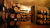 The wine cellar in the Mondo del Vino winery, Barolo, Piedmont, Italy