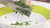 Chives being cut with a pair of herb scissors