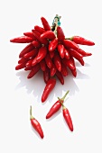 A bunch of fresh red chilli peppers