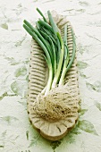 Spring onions in a wooden bowl