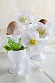 Table decoration of flowers and feathers in eggcups