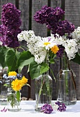 Twigs of lilac & summer flowers in glass bottles