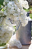 Metal milk can & white lilac in glass vase on table