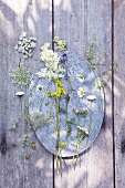 Various wild flowers on tray