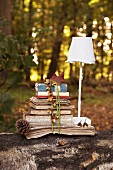 Tied stack of old books and letters and lamp with lampshade on tree trunk in autumnal woodland