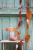 Aufgefädelte Herbstblätter und Windlicht vor Holzwand