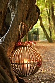 Lantern hanging on tree trunk in autumn woodland