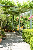 Bewachsene Pergola auf Terrasse mit Sitzplatz vor blühenden Rosenbüschen