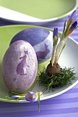 Crocuses and painted Easter eggs