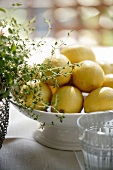 Zitronen und Thymian