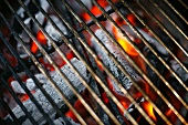 Hardwood Charcoal Burning in a Grill