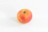 A Berlepsch apple