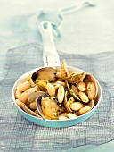 White beans with Venus clams (Spain)