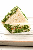 A salmon sandwich with chives