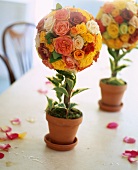 Spherical arrangements of roses decorating a table