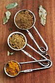 Various types of curry powder in measuring spoons