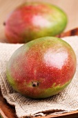 A mango on a piece of jute