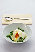A poached egg on herb cream with watercress