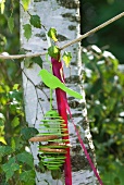 Practical, metal spiral biscuit holder hanging on tree