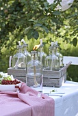 Oil lamps for garden party