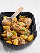 Braised chicken legs with potatoes
