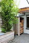 Bambuspflanze und Holzstapel auf der Dachterrasse