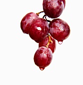 Dripping red grapes