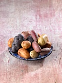 Various different potatoes on a plate