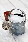 A watering can and a flowerpot on a wooden surface