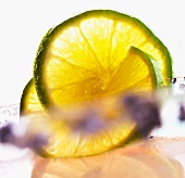 Lime slices on the edge of a glass (close-up)