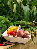 An arrangement with peaches, peppers and corn cobs