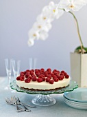 Cheese cake with raspberries on a cake stand