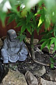 China Buddha figurine on soil next to small tree