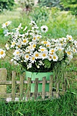 Bouquet of ox-eye daisies in metal bucket and miniature bench on lawn