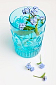 Hellblaues Wasserglas mit violetten Blumen und einzelnen verstreuten Blumen auf der Ablage